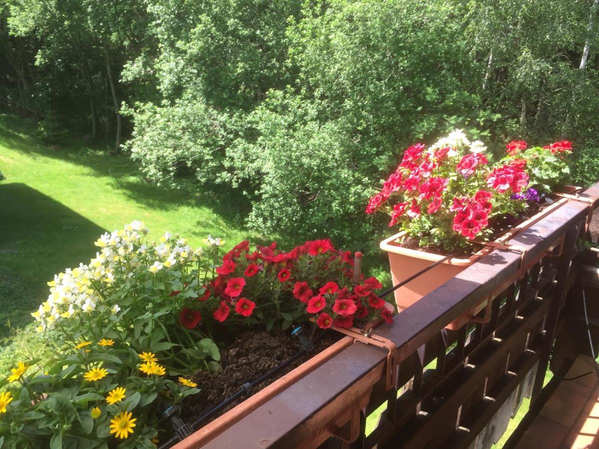 Ferienwohnung Kuckuck Auf Dem Sommerberg Incl Schwarzwaldcard Plus - 2 Zimmer 50Qm Bad Wildbad Zewnętrze zdjęcie